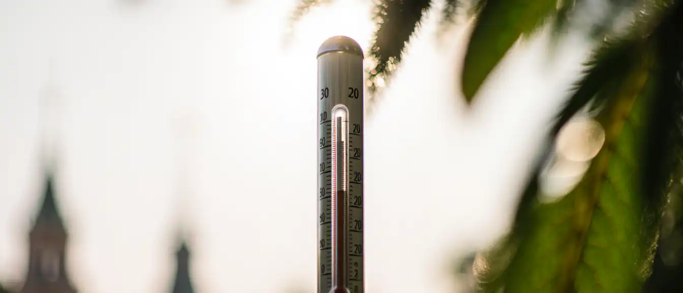 Жа thermocouetric-скачки и временное затишье: чего ждать столице от погоды в ближайшие дни?