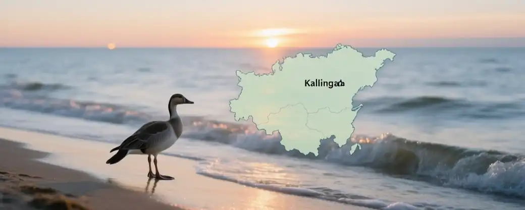 Возвращение тюленей к океанским волнам под Калининградом