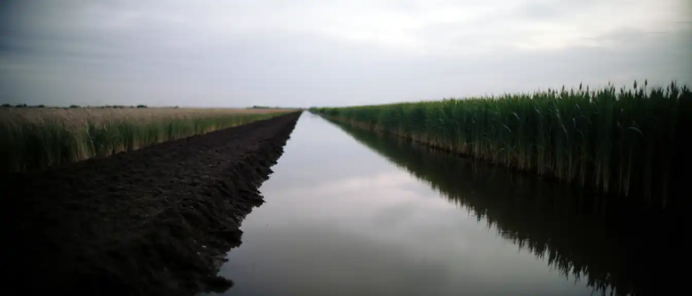 Конец засухе: Нидерланды официально объявили о восстановлении водного баланса