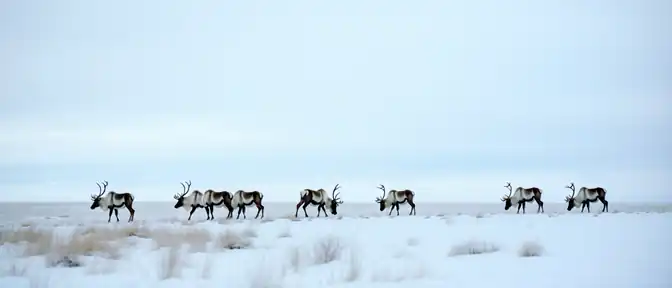 ЗАГОЛОВО