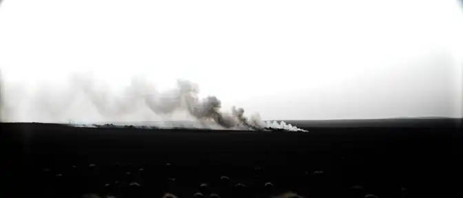 Огонь отступил: в «Аскании-Новой» победили масштабное возгорание