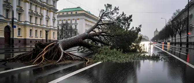 Столичный шторм: Москва оказалась под ударом мощных порывов ветра