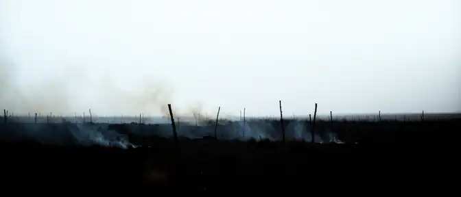 Огонь отступил: в «Аскании-Новой» завершена борьба с масштабным возгоранием