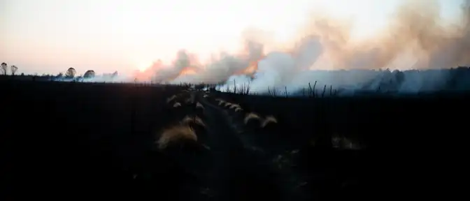 Огонь стер с лица земли часть заповедной степи в Оренбуржье