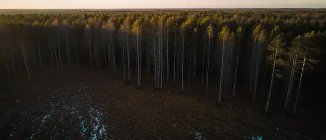 Улучшение видимости в красноярской тайге может помочь в обнаружении пропавшей семьи Усольцевых этой осенью
